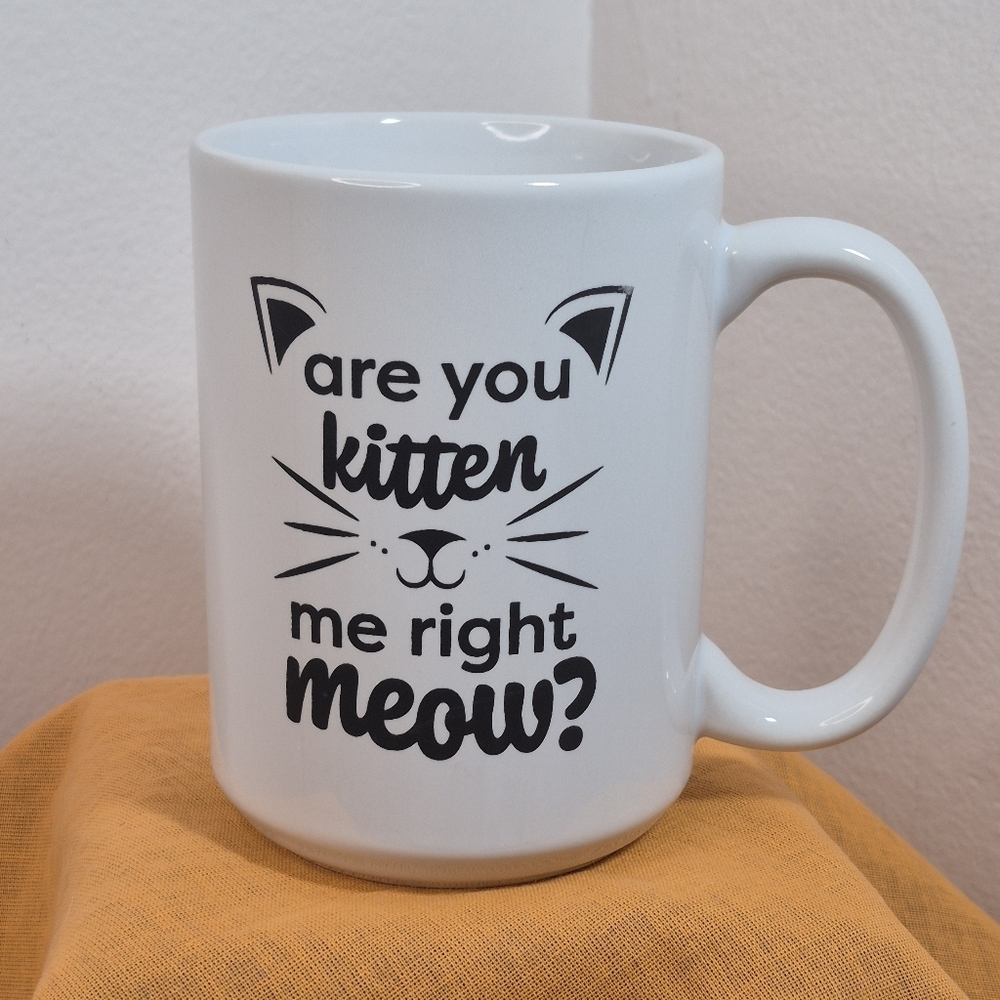 Are You Kitten Me Meow 16 oz Coffee Mug *Mint
